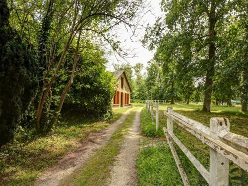 Dreamy Holiday Home In Raizeux With Terrace