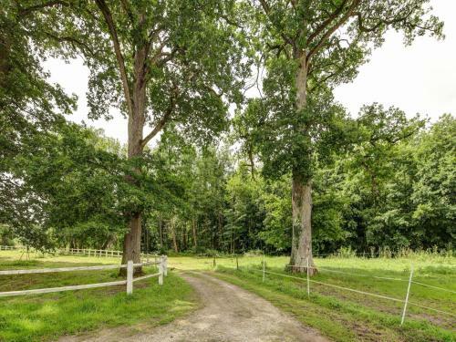 Dreamy Holiday Home In Raizeux With Terrace