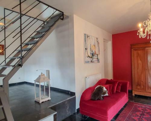 Bed & Breakfast Domaine de L'aviette