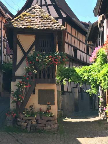 Les Terrasses Du Donon