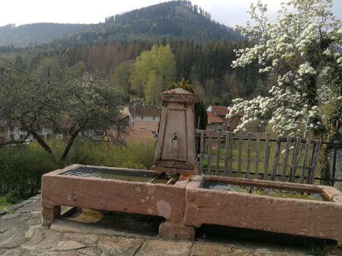 Bed & Breakfast La Maison Du Vannier