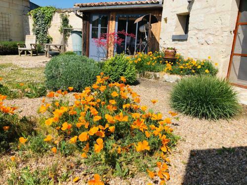 Bed & Breakfast Maison De Lavande