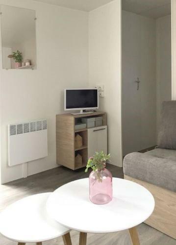 Mobile Home Haut de Gamme Dans Cadre Exceptionnel