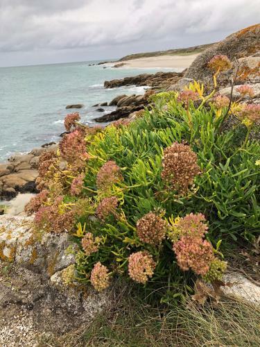 Apartamento Loft Moderne Quiberon