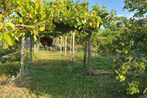 La Pruneli�re