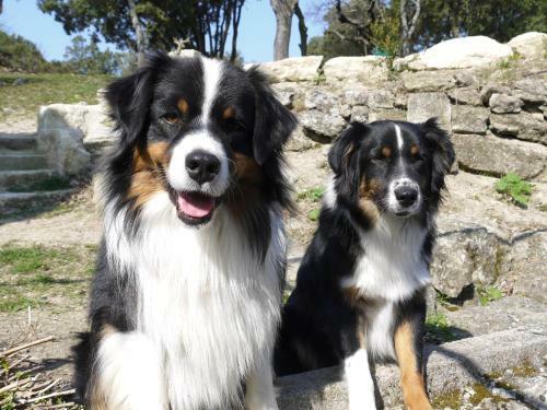 Bed & Breakfast La Ferme Les Eybrachas