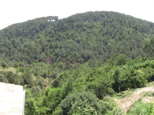 Apartamento G�te de La Salamandre