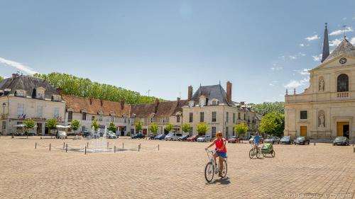 Apartamento Gite Le Petit Puits � Richelieu
