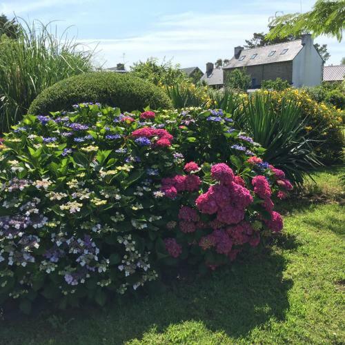 Bed & Breakfast Les 3 Ko�s