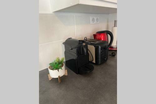 Apartamento Appartement Entier de 50m2