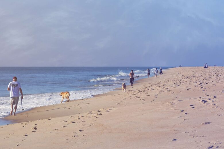 Hotel Hyatt Place Dewey Beach