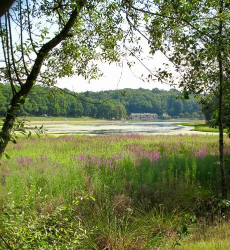 Bed & Breakfast Le Parc de Lywel