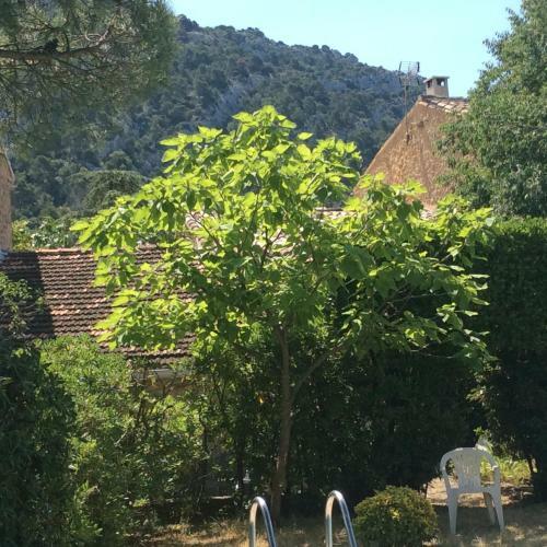 Maison Daumas Billard Fran�ais Et Piscine