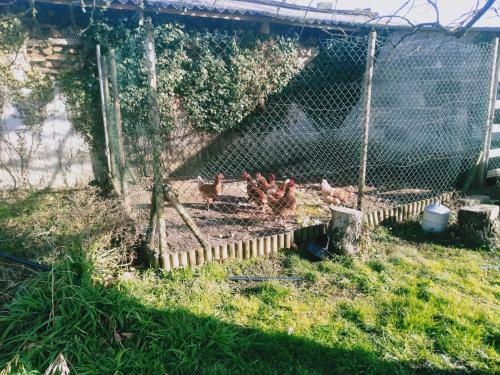 Apartamento Maison Orchid�e