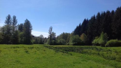 L'oriere Des Bois