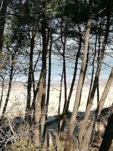 Maison Ronce Les Bains