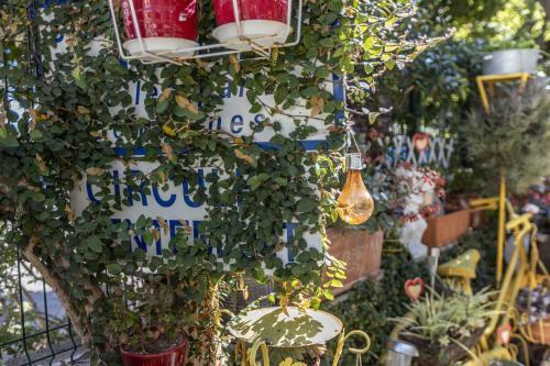 Apartamento ,,la Chaumi�re D?azur?