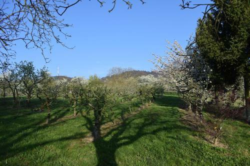 Bed & Breakfast Chambres D'h�tes "la Petite Vall�e"