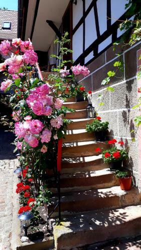 Bed & Breakfast Chambres D'h�tes "la Petite Vall�e"