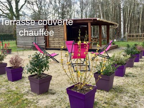 Bed & Breakfast Roulottes Du Chalet Des Pins