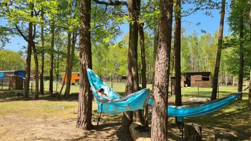 Bed & Breakfast Roulottes Du Chalet Des Pins