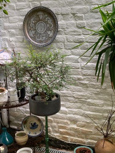 Camera Et Caetera Chambres D'h�tes B&B