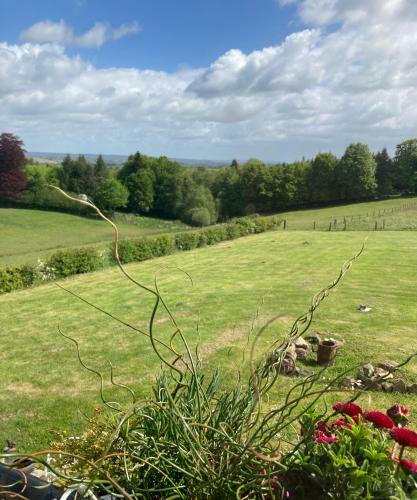 Bed & Breakfast Ash Tree