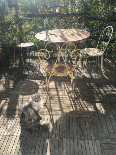 Maison Boh�me