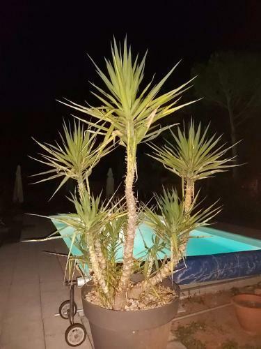 Villa Maison Proven�ale Aix En Pce