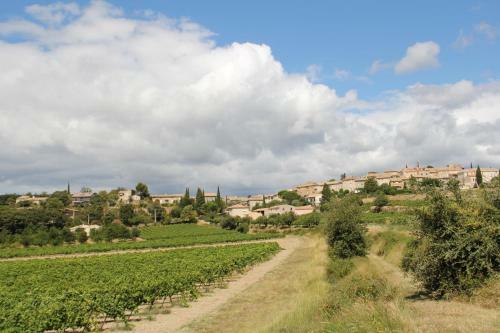Apartamento Eco G�te Dans Les Vignes