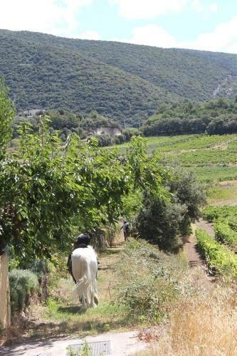 Apartamento Eco G�te Dans Les Vignes