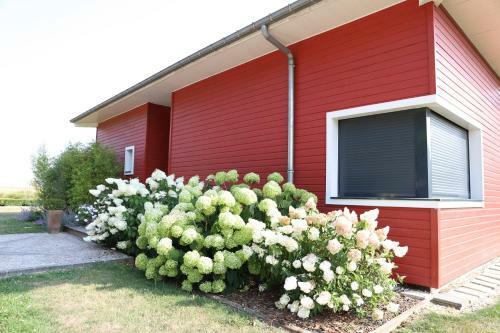 Bed & Breakfast L'escale Aux Framboises