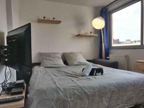 Apartamento Appart'homecity - Rouen Lafayette 39