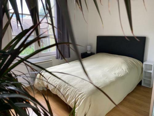 Apartamento L'esprit de Famille