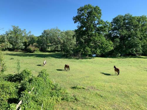 Bed & Breakfast Ch�teau de Saint-agoulin