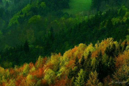 Les Chalets de Pr� Clos En Vercors