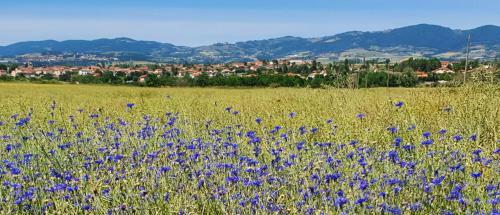 Hostal Gite Les Arches