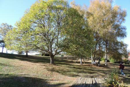 Gite de Montager Saint Andr� de Chalencon