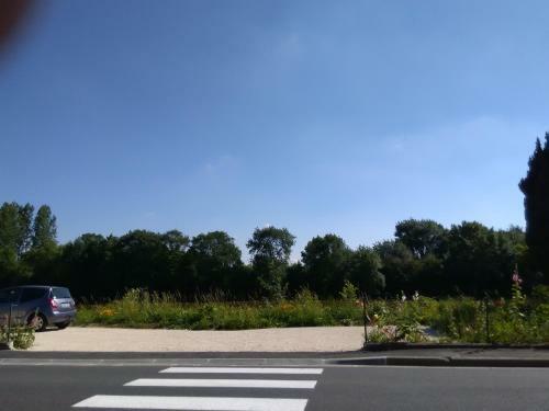 La Tribu De Beauval