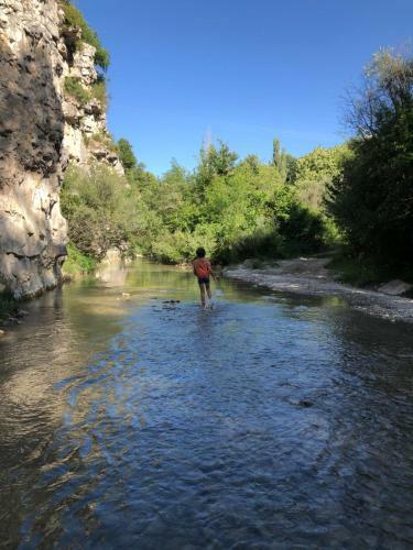 La Sarrasine