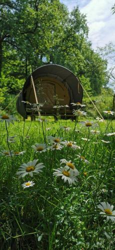 Camping De La Chagn�e