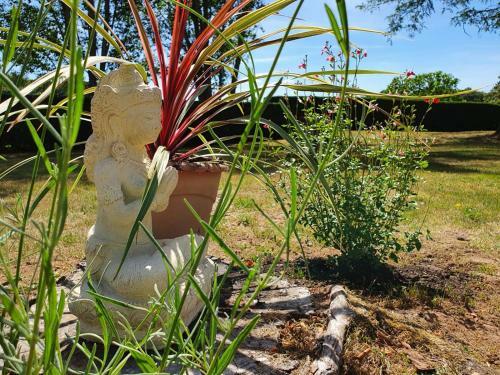 Bed & Breakfast Le Bois Du Bournat