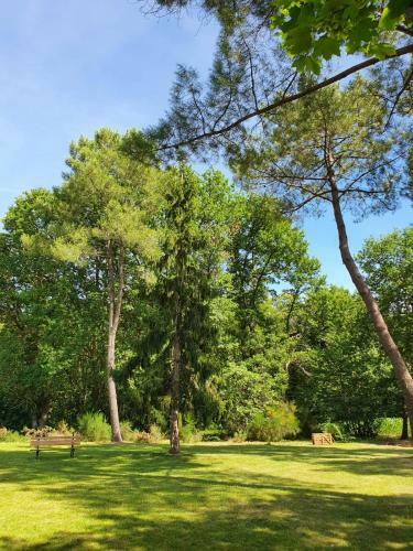 Bed & Breakfast Le Bois Du Bournat
