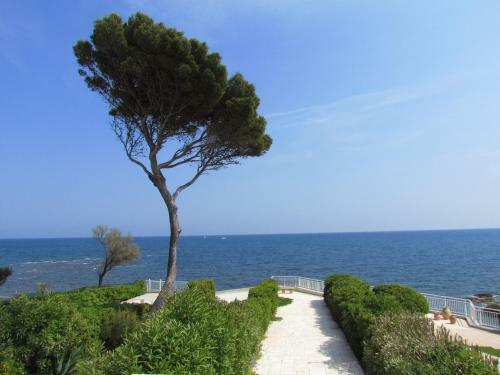 Villa Pieds Dans L'eau