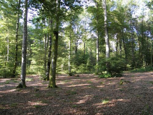 Apartamento G�te Des Planches Le Pit