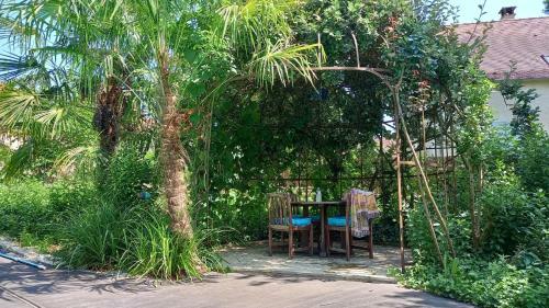 Bed & Breakfast Le Clos de La Roseraie