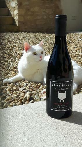 Le Cottage Du Chat Blanc