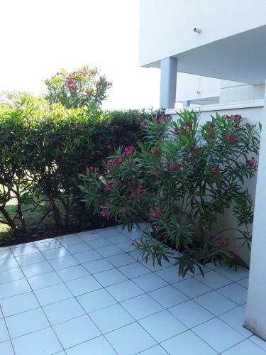 Apartamento Saintcyp