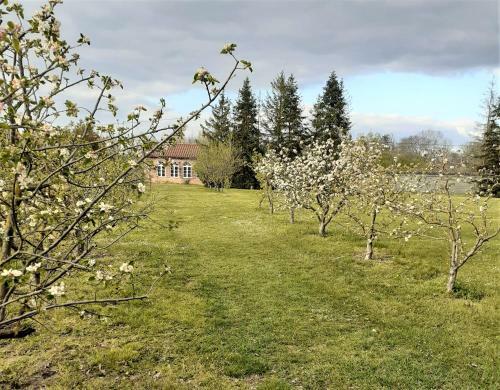 Bed & Breakfast Domaine Du Perrier