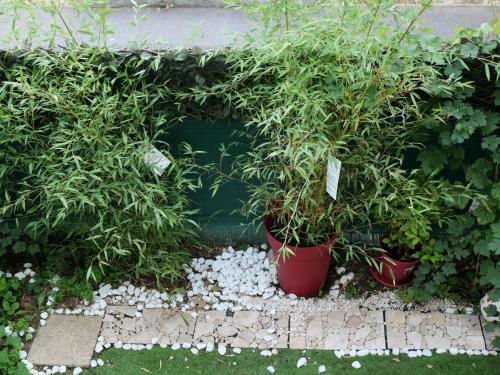 Apartamento Passion Et D�tente